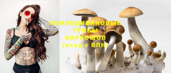 MESCALINE Няндома